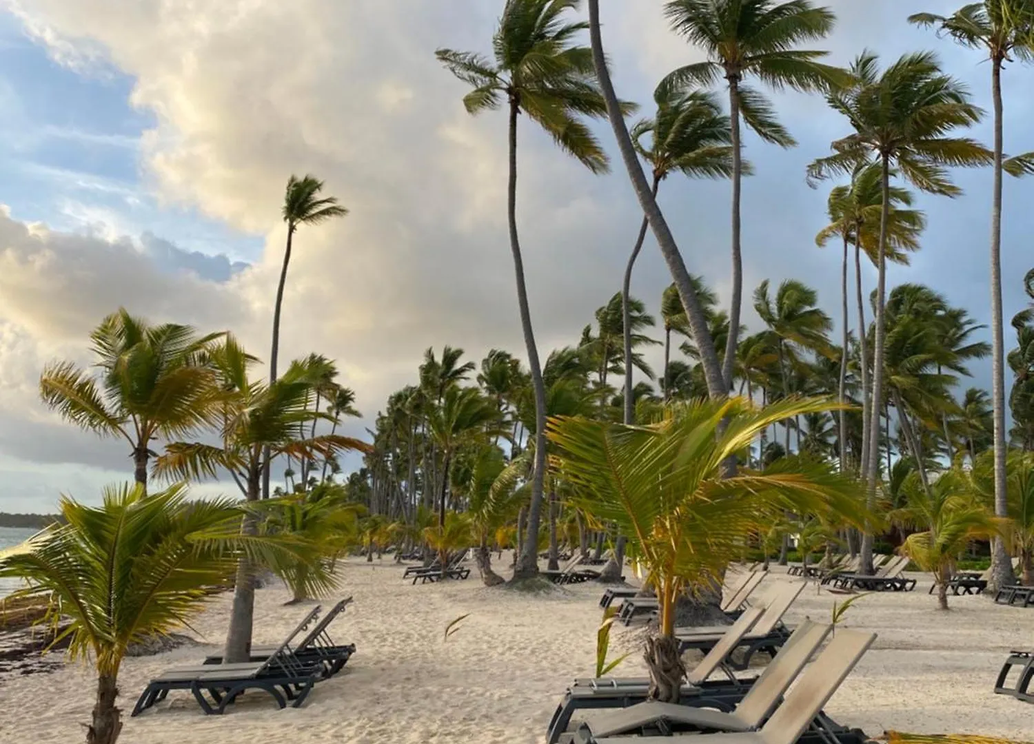 Appartement A Place With An Incredible View Two Pools On The Terrace à Punta Cana
